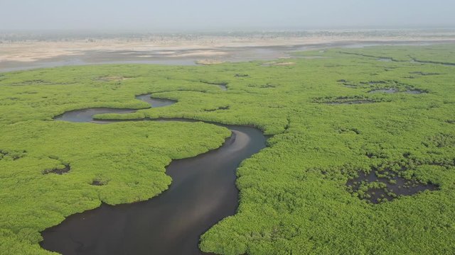 Senegal Mangroves. Aerial view of mangrove forest in the Saloum Delta National Park, Joal Fadiout, Senegal. Photo made by drone from above. Africa Natural Landscape..