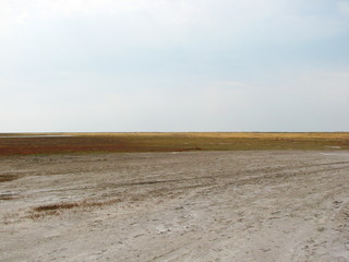 The panorama of endless Azov salt marshes in the middle of summer creates a misleading picture of snow-covered steppes.
