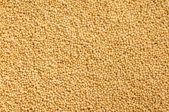 Close up shot of many amaranth grains in a pattern