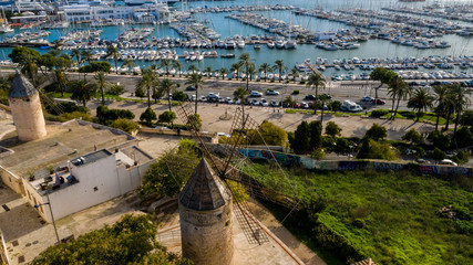 Obraz premium the promenade of Palma de Mallorca, Spain