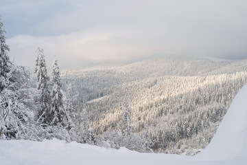 Winter snow covered fir trees on mountains on blue sky with sun