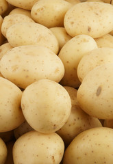Raw young potatoes as background