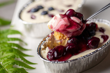 Blueberry pie fresh creamy cottage cheese dessert
