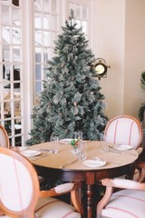 Christmas tree in New Year high quality picture