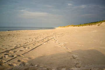 Fototapeta na wymiar beach near Stilo and Kopalino, 20 km from Leba, Baltic sea, Poland