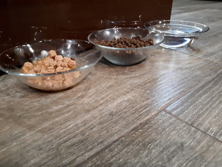  close-up of tasty, healthy cat food in glass plates