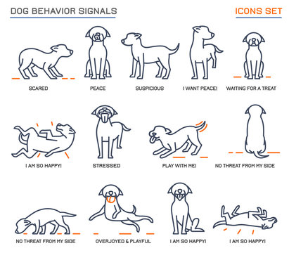 Dog Behavior Icons