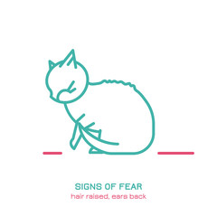 Cat fearful behavior icon