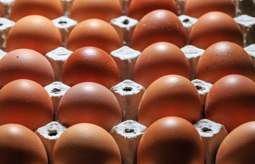 top view of Cardboard tray filled with brown egg