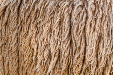 Natural fiber thermal fur wool texture background from sheep with white bright color tone. Backdrop for design art work or text message.