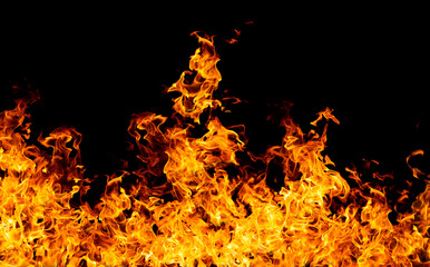 The  biggest fire flames of realistic burning on black background. For art work design, banner or backdrop.