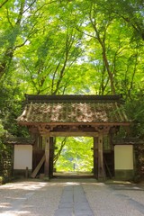 pavilion in garden