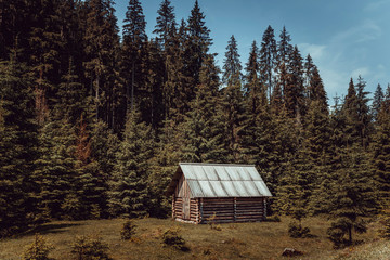 Wooden hut in the Carpathian forest
