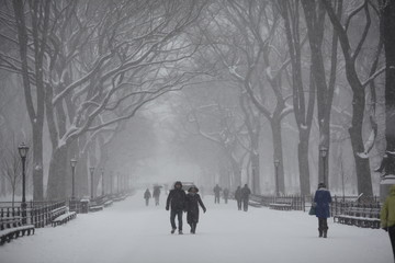 cpouple walking in snowstorm under canopy of trees in New York's Central Park - obrazy, fototapety, plakaty