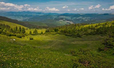 Picturesque Carpathian landscape