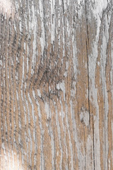 natural wood close-up with a pronounced texture