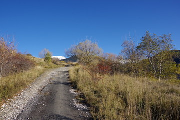 Sentier piste de randonnée et montagne enneigée au fond