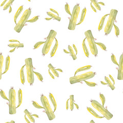 Seamless pattern of watercolor cactus on a white background. Use for invitations, menus, birthdays