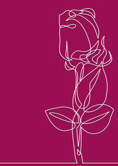 One line rose design. Hand drawn minimalism style vector illustration.