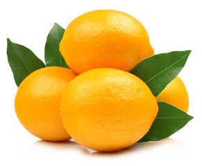 Lemons isolated on white background