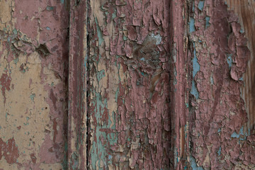old wood texture of bark of tree