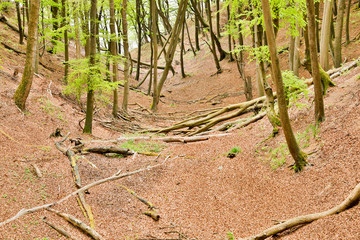National Park Center Königsstuhl at the famous chalk cliffs Königsstuhl on the island of Rügen.