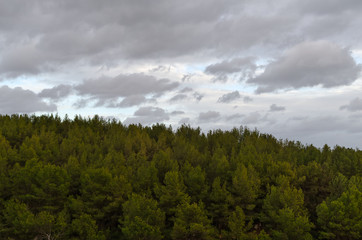 Trees and cloudy sky at the end of the day. Lagoa, Algarve, Portugal