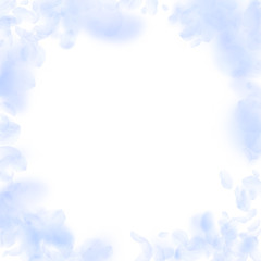 Light blue flower petals falling down. Classic rom