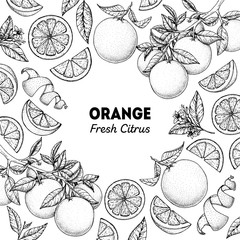 Orange hand drawn package design. Vector illustration. Orange sketch for menu design, brochure illustration. Black and white design. Citrus orange frame illustration. Can used for packaging design.