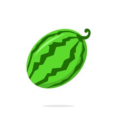 Watermelon icon vector, illustration of watermelon isolated on white background