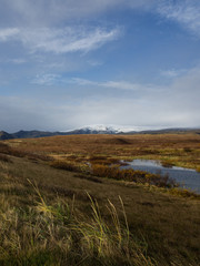 Icelandic landscape from the road between Skógafoss waterfall and Reynisfjara Black Sand Beach. Bright grass, iced water and mountains covered in snow. Iceland.