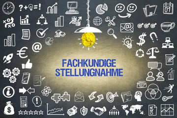 Fachkundige Stellungnahme