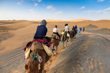 Tourists take a camel caravan into the desert