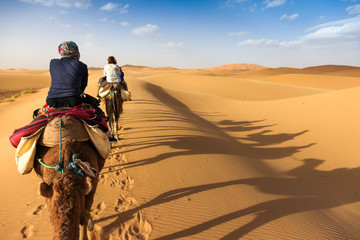 Tourists take a camel caravan into the desert - obrazy, fototapety, plakaty