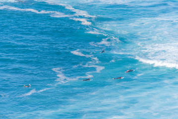 Surfistas en el mar.
