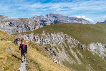 Fototapeta na wymiar Beautiful shot of people hiking with donkeys in the mountains of Mercantour national park, France