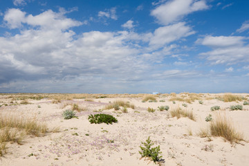 the Ria Formosa Natural Park, Armona Island, Algarve, Portugal