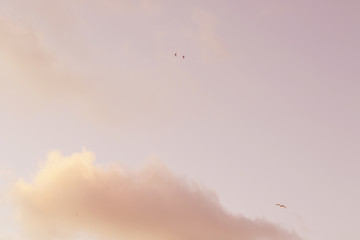 evening cumulus clouds in pastel tones