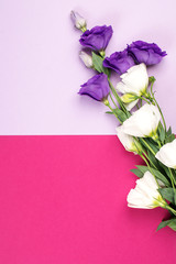 Delicate white and purple eustoma flowers on pink paper background. Greeting card with copy space, minimal style