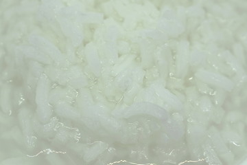 boiled rice in cup on white background