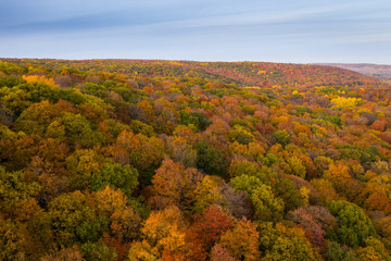 Aerial view of beautiful autumn colors forest