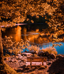 Wooden bench on Grasmere lake in the Lake District, Cumbria, UK. Sunset in autumn with colorful reflections in the fall season and beautiful golden glow and ripple in the water.