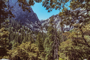 Fototapeta na wymiar Overview of Yosemite Valley with forest and mountains