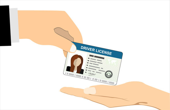 Hand gives Car driver license identification card with photo. Vector illustration in flat style.