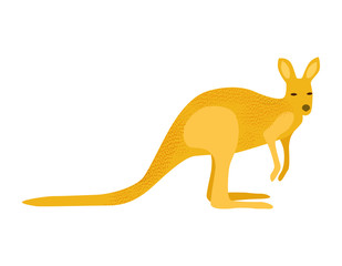 Australian animals. Vector illustration in flat style.The main symbols of the country.