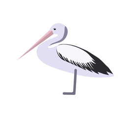 Australian animals. Vector illustration in flat style.The main symbols of the country.