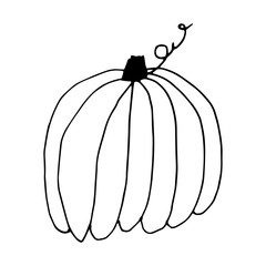 Pumpkin in doodle style on isolated white background. Thanksgiving Day, Halloween pumpkin icon. Vector autumn illustration. Decoration element. Vegetarian product. Black outline hand drawn.