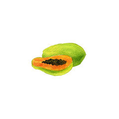 watercolor drawing papaya