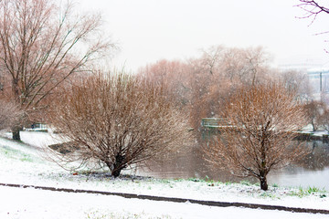 Snow-covered landscapes of a winter park.