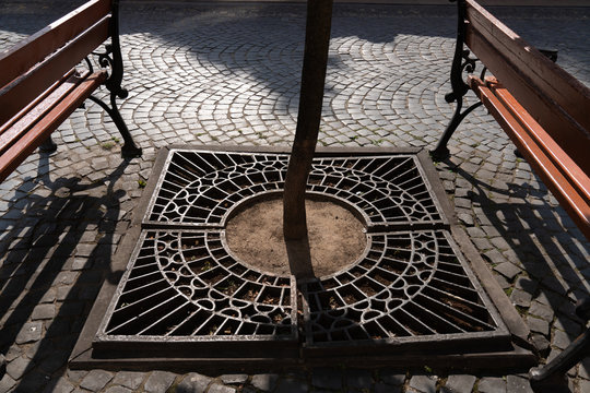 Stone walkway, two wooden benches, a tree with foged protection on the ground